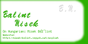 balint misek business card